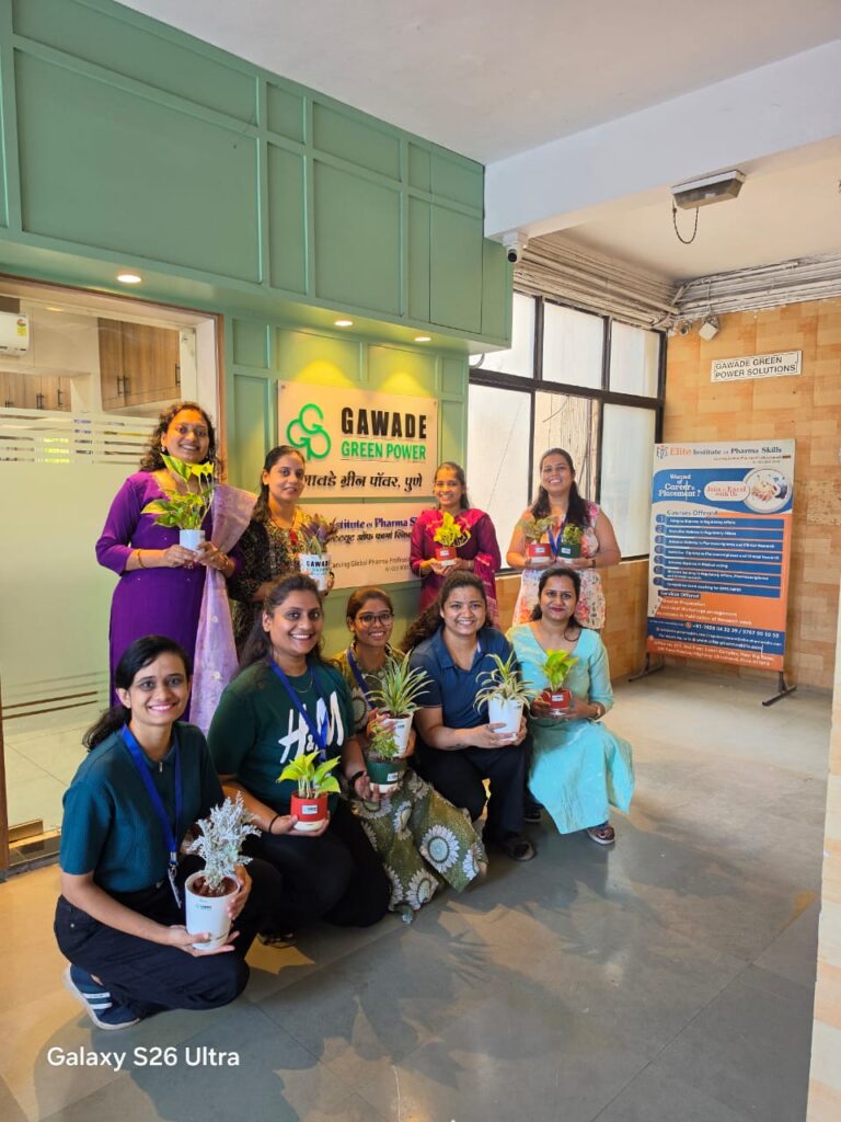 Celebrations-Team Activity